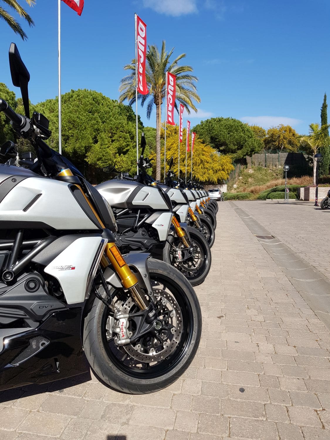 Ducati on sale diavel 1290